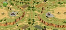 pak choi 2-4