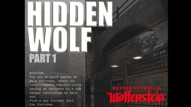 Hidden Wolf