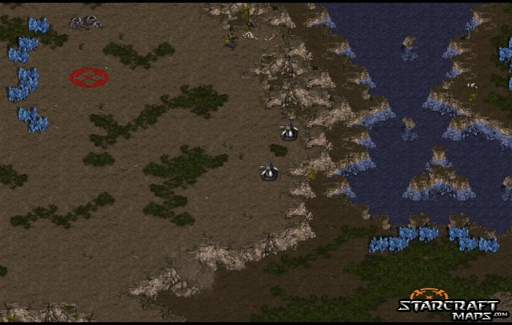 enter the dragon game
