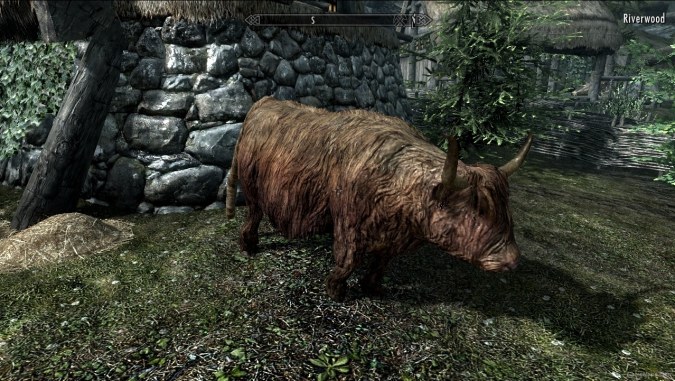 Skyrim Creatures Project