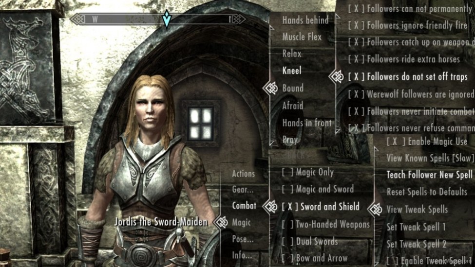 Amazing Follower Tweaks Skyrim Gamemaps