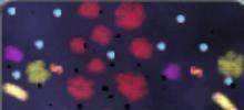 4DA2map01