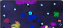 5DA2map04