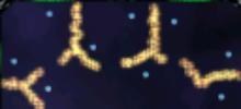 6domcircle