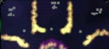 sfoyard4