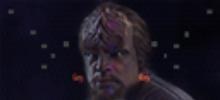 yardworf