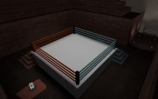 Boxing Ring