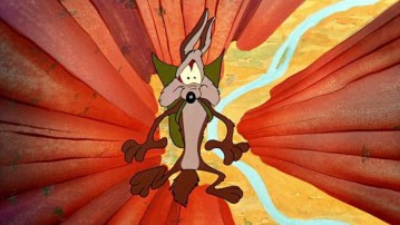 Looney Tunes Cartoon Fall Sound Replacement