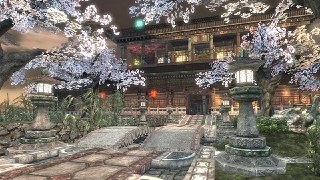 DM-Shaolin