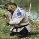 CastorJudo