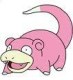 zoovigger