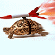 Critical Tortoise