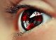 RedQueen725