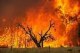 Fire5torm