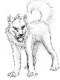 killerwolf912