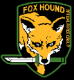 1GrayFox1