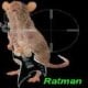 Ratman_84