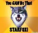 SteelWolf581