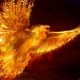 BirdManBlazingEagle