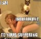 SwatCat217