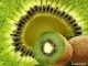 Kiwi1779