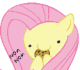 RinThePony