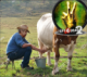 themilker42