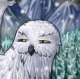 fluffysnowgriff