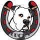 luckydog32