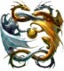 Draco120596