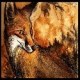 FoxDPN